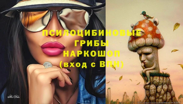 гидра Балабаново