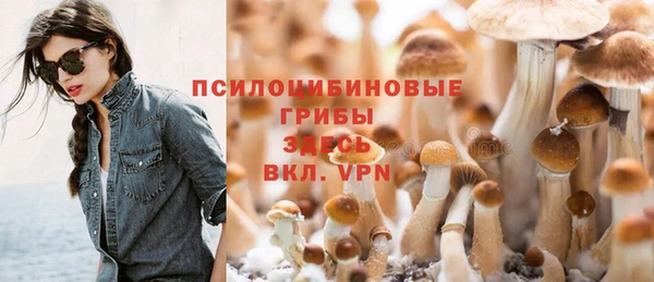 гидра Балабаново