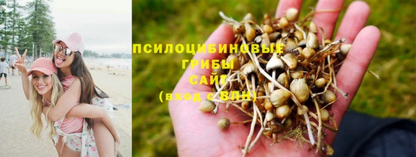 гидра Балабаново