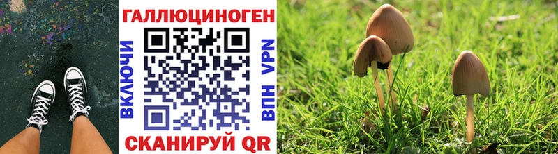 магазин продажи   Ульяновск  Псилоцибиновые грибы MAGIC MUSHROOMS 